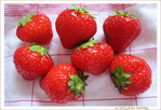 A la Pentec�te, fraises on go�te