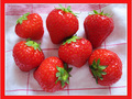 A la Pentec�te, fraises on go�te -- 21/06/11