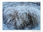 Blanc comme neige -1-