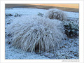 Blanc comme neige -2- -- 29/01/08