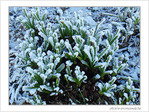 Givre sur la ville -2-