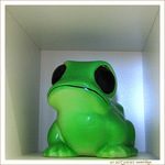 Grenouille gentille