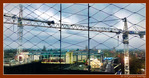 Dans le Brouillard... des Grues -- 23/02/24