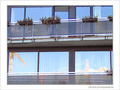 Vue sur ballet a�rien  -- 15/11/06