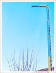 Grue Couleur du Ciel -- 07/01/23