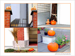Happy Halloween - Sophil de l'eau