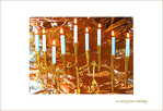 Que les Lumi�res �clairent l'Obscurit� -- 16/12/06