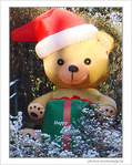 Happy Nounours de No�l -- 26/12/07