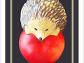 H�risson mignon -- 30/05/09