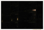 Alliance pour la Plan�te 2007 - Bruxelles 1er f�vrier 19h55 - 20h00  -- 01/02/07