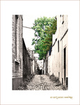 Vers les Libert�s
