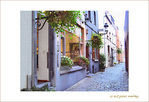 Impasse Saint-Jacques -4-