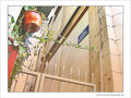 Impasse du Chapelet -1- -- 28/03/06