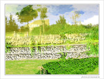 Jardin d'aquarelle