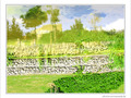 Jardin d'aquarelle -- 24/07/09