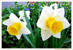 V'la l'Printemps -- 16/04/14