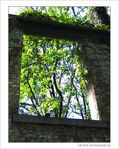 Comme dans un r�ve... -- 10/07/05