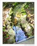 L'eau, source de vie