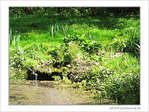 R�v�ler ses sources? Ou pas?