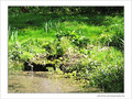R�v�ler ses sources? Ou pas? -- 04/07/05