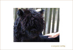 Je suis noir�! Je suis...? -1- -- 09/09/04
