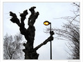 H� ho�! On change l'heure�! -- 02/04/10