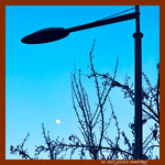 Un apr�s-midi d'Hiver -002- 2023 -- 15/03/23