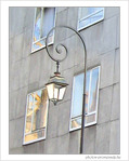 Gris� de lumi�re -- 28/11/08