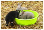 Fais-moi une place�!