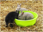 Fais-moi une place�!
