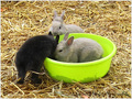 Fais-moi une place�! -- 13/12/10
