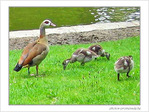 Sortie sous haute surveillance parentale -- 05/06/05
