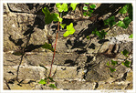 Sous le Soleil -01- �t� 2021 -- 23/07/21