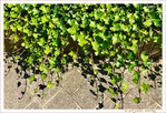 Sous le Soleil -07- �t� 2021 -- 05/09/21