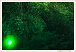 Objet Vert Venu d'Ailleurs -- 18/10/21