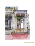 Maison r�serv�e aux Oiseaux -- 30/06/05