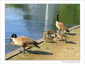 Premi�res baignades -- 10/06/05