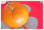 Quand les Fleurs se font Mandarines