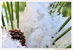 � l'Abri