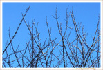 Pointer le ciel