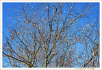 Flocons l�gers -- 12/01/11