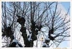 �claircie -- 28/01/11