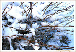 Ouate Branch�e -- 17/02/12