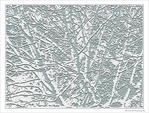 Neiges d'antan -3-