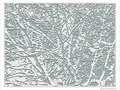 Neiges d'antan -3- -- 13/02/10