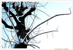 La Neige qui fait danser -- 09/02/11