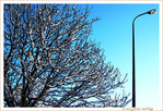 Il y a le Ciel, le Soleil et la Neige -- 09/02/15