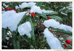 Quand le Rouge para�t -- 04/02/11