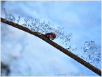 Toboggan pour cristaux -- 04/01/11