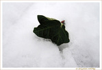 Rien aux alentours�? -- 14/01/10